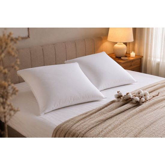 Oreillers Triple Protection Blanreve - Lot De 2 - 60x60 Cm - Anti-acariens, Antibactérien - Blanc - 9