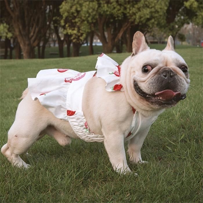 Habiller son bouledogue hotsell français