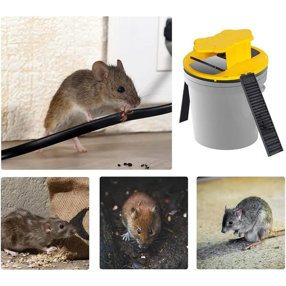 Tapette à Souris Réutilisable - Lot De 8, Très Sensible (10-20g), Compartiment à Appât, Pour Maison Et Jardin