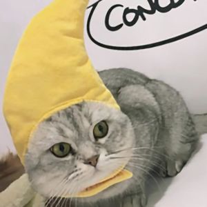CASQUETTE - SNOOD Pwshymi costume de chapeau pour animaux de compagn