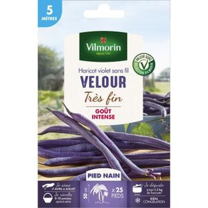 GRAINE - SEMENCE VILMORIN Graines de haricot velour gousse violette - 5 M