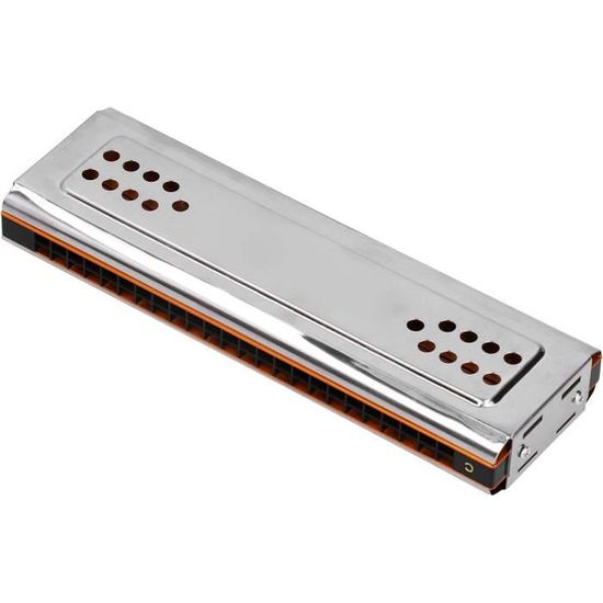 Harmonica Diatonique 10 Trous 20 Tons - Tonalité Do (C) - Acier Inoxydable Et ABS - Idéal Débutants Et Pros