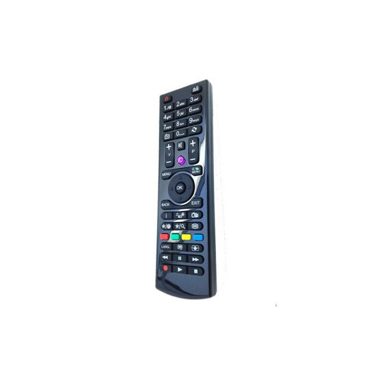 Télécommande RC4876 Pour Téléviseurs ANTARION, AYA, CLAYTON, Etc. - Neuf
