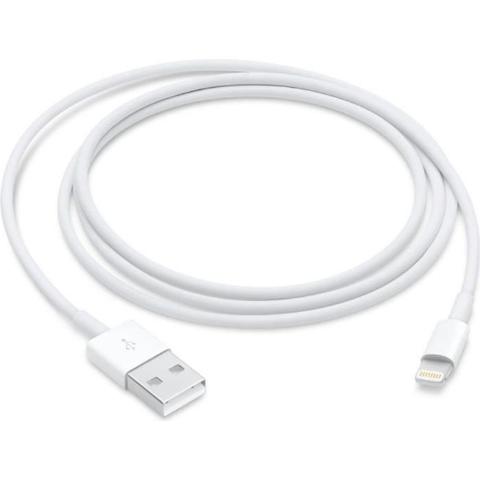 Apple Câble Lightning vers USB (1 m)