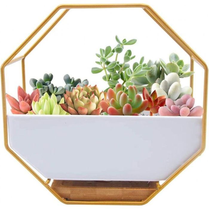 Jardinière murale en fil métallique avec vase en verre transparent – design moderne et élégant