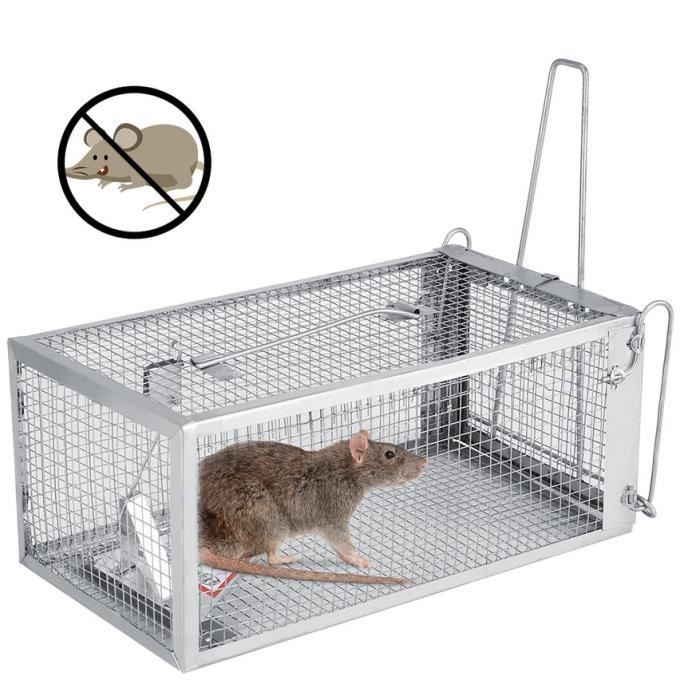 Rat Cage Piège Cage Petits Animaux Vivants Animaux Rongeurs Rongeur Souris  Contr?le Appats Attrape 26.2 * 14 * 11.4cm - Cdiscount
