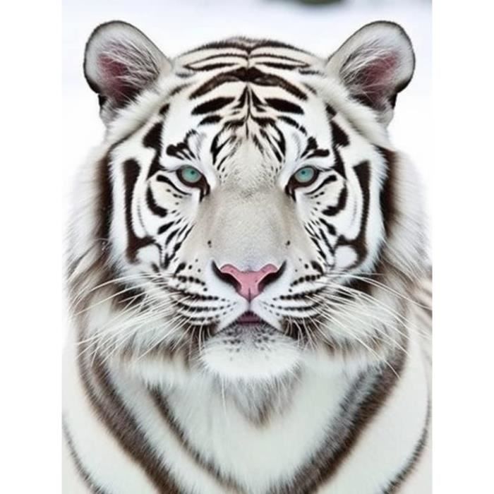Instarry DIY 5D Diamond Painting Grand Format Tigre Blanc Tableau Decoration Murale Salon 90x60 Cm