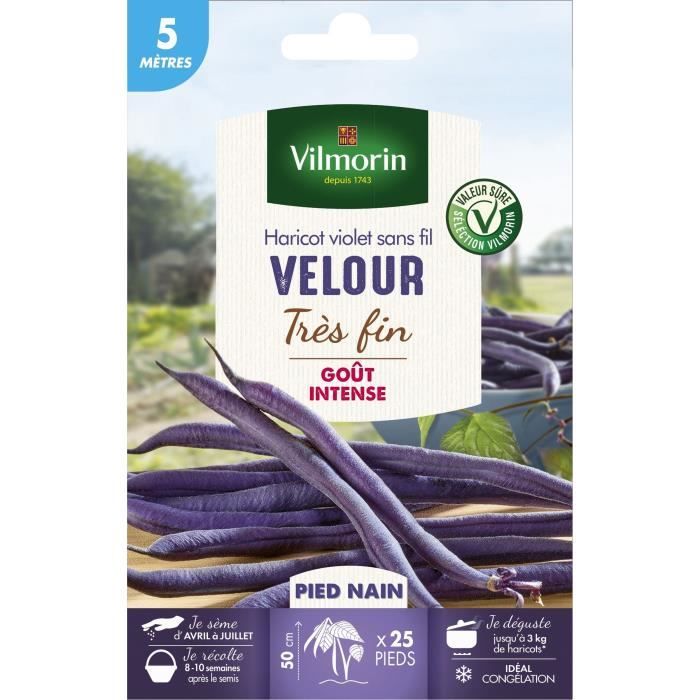 VILMORIN Graines de haricot velour gousse violette - 5 M