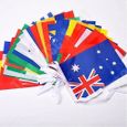TD® Banderole de Drapeaux du monde 21*14 c m- Guirlande de Bannière,drapeaux Internationaux-100 Pays différents pour fête 25 m-1