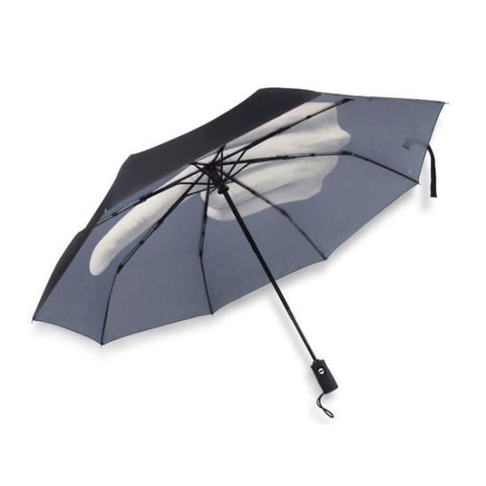 Parapluie Fuck the Rain Noir