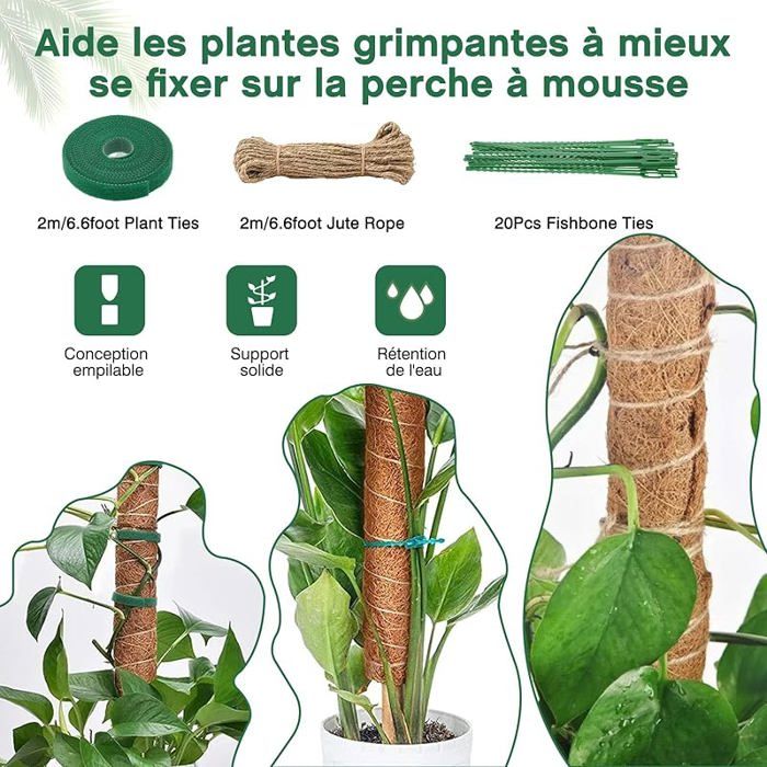 YAWAHOME Tuteur Plante Tuteur Monstera 6pcs 42cm Long Up to 193cm Tuteurs  Coco Support Plante Grimpante Pliable pour Plantes TUTEUR - Cdiscount Jardin