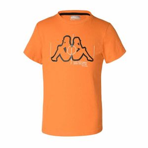 T-SHIRT T-shirt KAPPA Bollengo Sportswear pour Garçon - Or