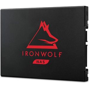 DISQUE DUR SSD Ironwolf 125 Nas Ssd, 250 Go, 2,5