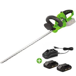 TAILLE-HAIE Taille Haies - VITO GARDEN - EGO LI - Lame 51CM - 2 Batteries 2AH - Chargeur Rapide