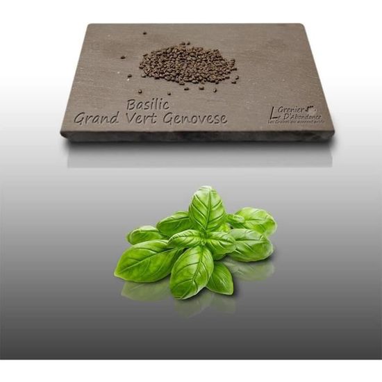 Graines De Basilic Grand Vert - Sachet De 200 Graines, Basilic Doux Genovese, Pour Jardin Aromatique Et Cuisine Maison