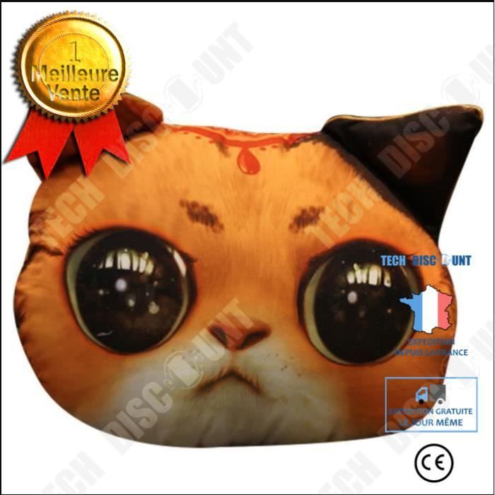 TD® Drôle 3D Cat Imprimer Coussin Coussin créatif mignon poupée en peluche cadeau Tapis de chat souple Couleur: chaton orange