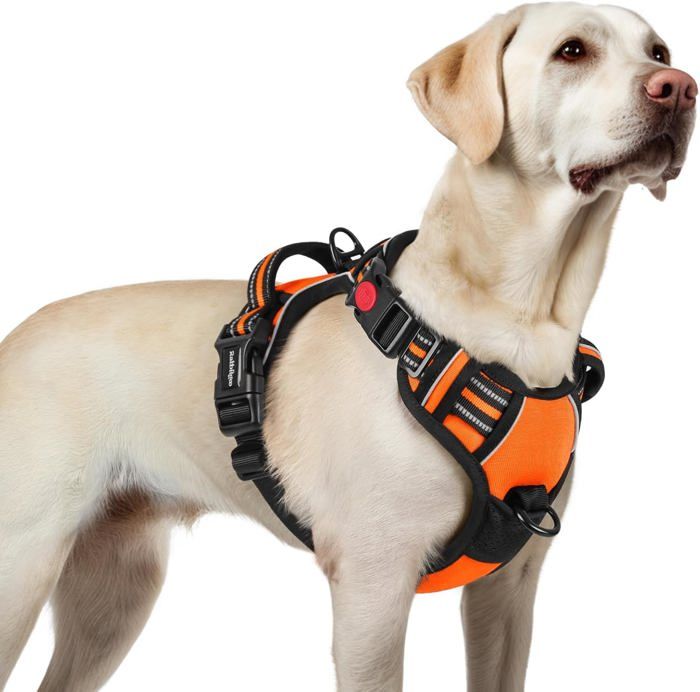 Meilleurs prix pour rabbitgoo Harnais Chien Anti Traction avec 3 boucles pour Chien Facile à Mettre Harnais Réfléchissant Réglable pour Chien orange L