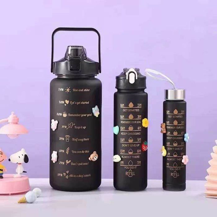 Lot de 3 bouteilles isothermes gourde 2 L + 800 ml + 300 ml sans BPA avec paille pour femme et homme