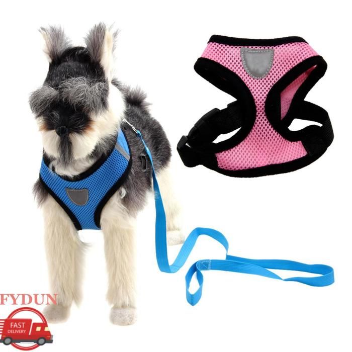 Meilleurs prix pour FYDUN gilet de harnais pour chien Harnais pour chien avec laisse en tissu maillé gilet réglable doux animalerie collier Rose XL