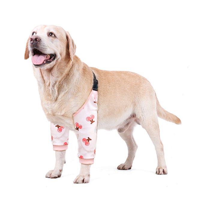 Protège-coude pour chien manchon de récupération pour patte de chien afin dempêcher le léchage des plaies manchons