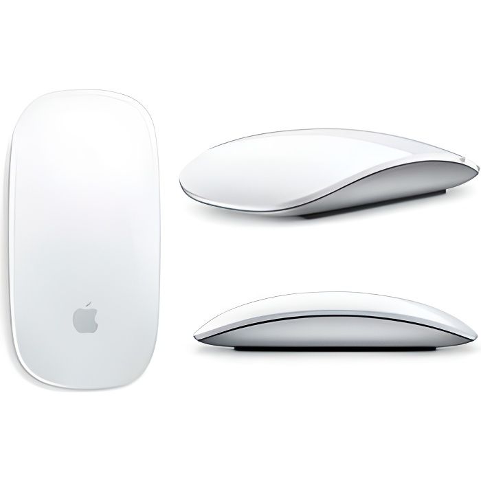 Accessoires reconditionnée Apple Magic Mouse A 1296 - RAAPlavier-29726