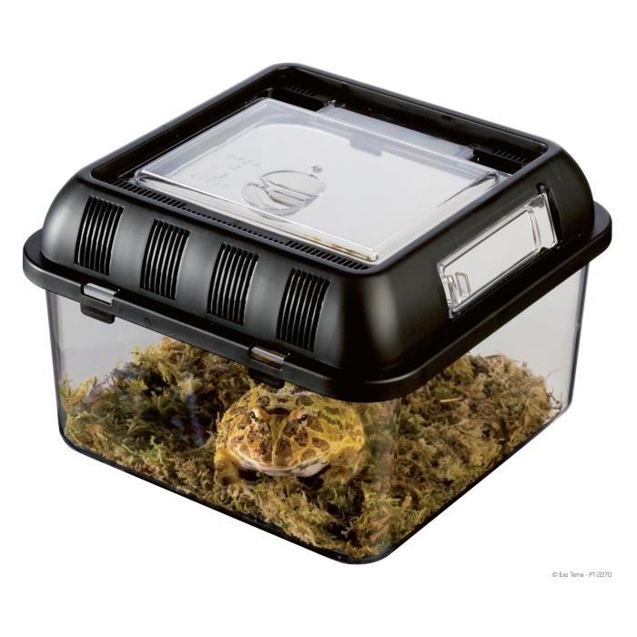 Meilleurs prix pour BREEDING BOX Exo Terra taille S pour reptiles