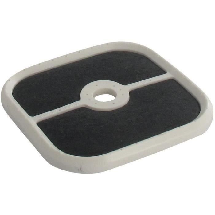 Greenstar 5988 Filtre à air pour adaptable Echo pour PB-251/PB-255ES/PB-265ESLT