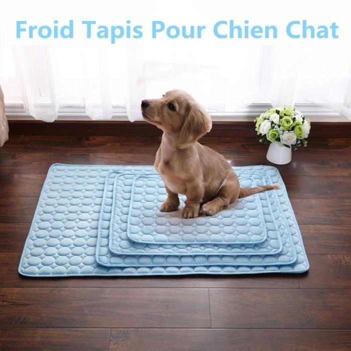 Cool Froid Tapis Pour Chien Chat Chiot Ete Soie De Glace Chilly Mat Non Toxique Coussin Refroidissement Pad Sommeil Matelas Cdiscount