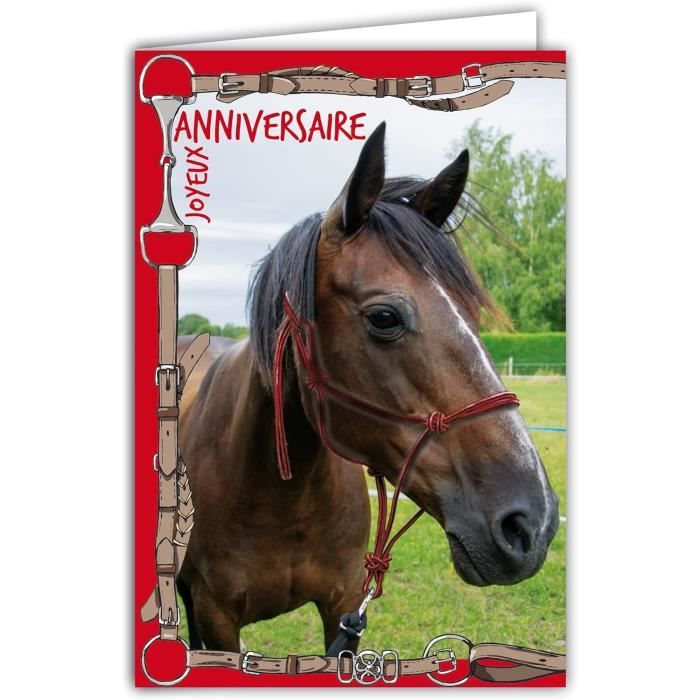 671224 Carte Joyeux Anniversaire Cheval Animaux Equitation Brides Harnais Rouge Étriers
