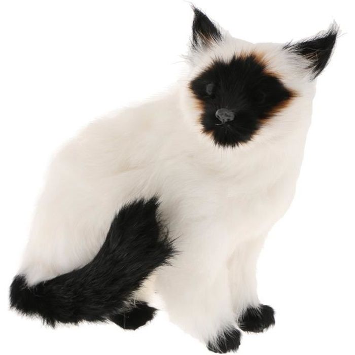 Statue Realiste De Chat Siamois Interieur Exterieur Ornement De Jardin Prop Model Figure Cdiscount Maison Statue Realiste De Chat Siamois Interieur Exterieur Ornement De Jardin Prop Model Figure Cdiscount Maison