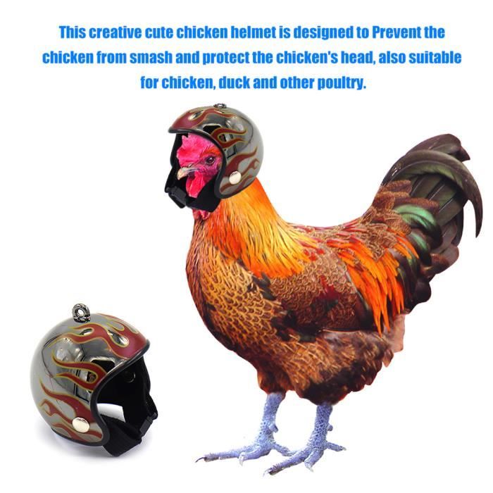 Comparer les prix de Casque poule dessin animé - VGEBY - Taille réglable - Protection volaille