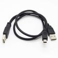 INECK® Cable double USB alimentation mini usb pour boitier disque dur externe data hdd-1
