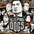 SLEEPING DOGS / Jeu console XBOX 360-2