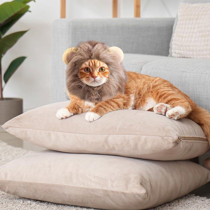 Déguisement Lion Pour Chien/chien - Perruque Crinière Ajustable, Trous Pour Oreilles, Pour Fêtes, Photos, S/M/L - 5