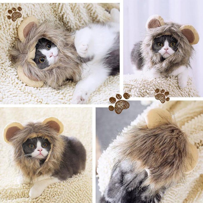 Déguisement Lion Pour Chien/chien - Perruque Crinière Ajustable, Trous Pour Oreilles, Pour Fêtes, Photos, S/M/L - 7