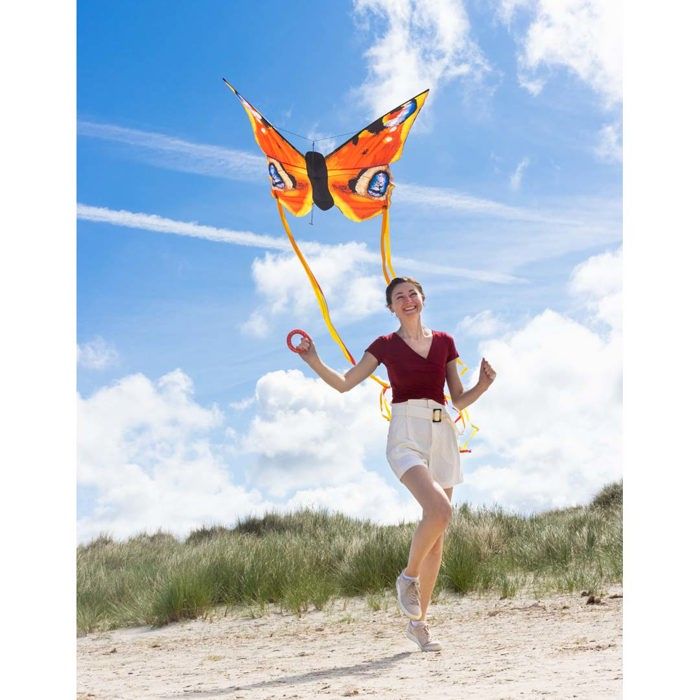 HQ-Invento Vlinder Cometa de Mariposa, Mezcla de Colores Variados, 95 x 120 + 190 staart (102223 HQ-Invento Vlinder Cometa de Mariposa, Mezcla de Colores Variados, 95 x 120 + 190 staart (102223
