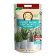 OR BRUN Terreau cactus et succulentes 4l-0