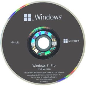 SYSTÈME D'EXPLOITATION Système d'exploitation - Microsoft - Windows 11 Pr
