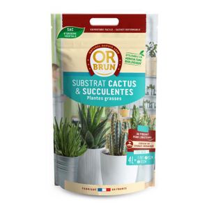 TERREAU - SABLE OR BRUN Terreau cactus et succulentes 4l