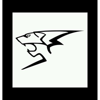Peugeot Sport Sticker Autocollant Tuning Deco Voiture Moto Sponsor