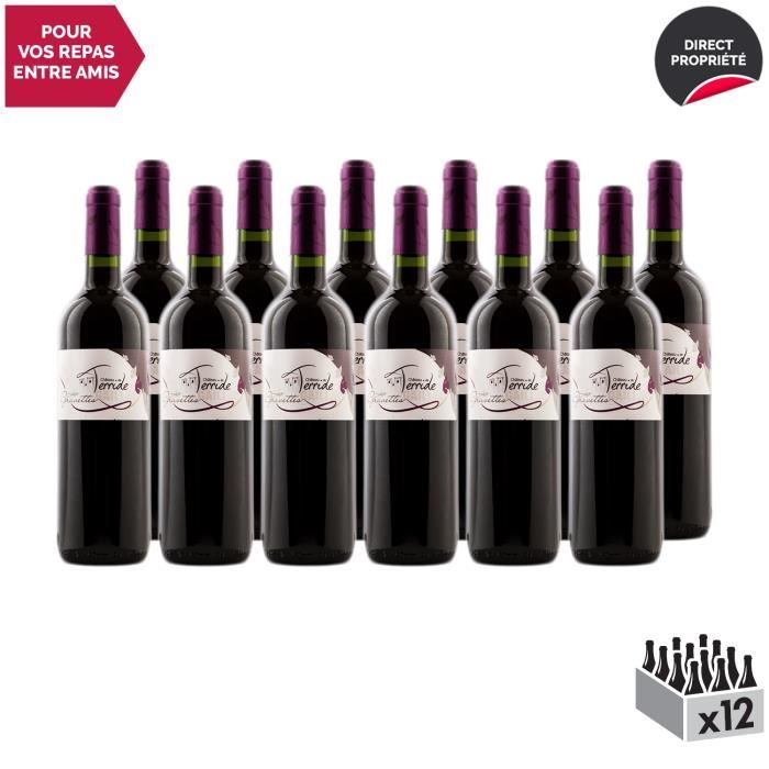 Gaillac Les Gravettes Rouge 2018 - Lot de 12x75cl - Château de Terride - Vin AOC Rouge du Sud-Ouest - Cépages Syrah, Duras, Braucol