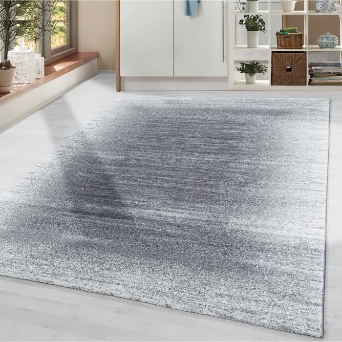 tapis salon a poils courts tapis design moderne bordure poils doux gris creme argent 120x170 cm achat vente tapis cdiscount