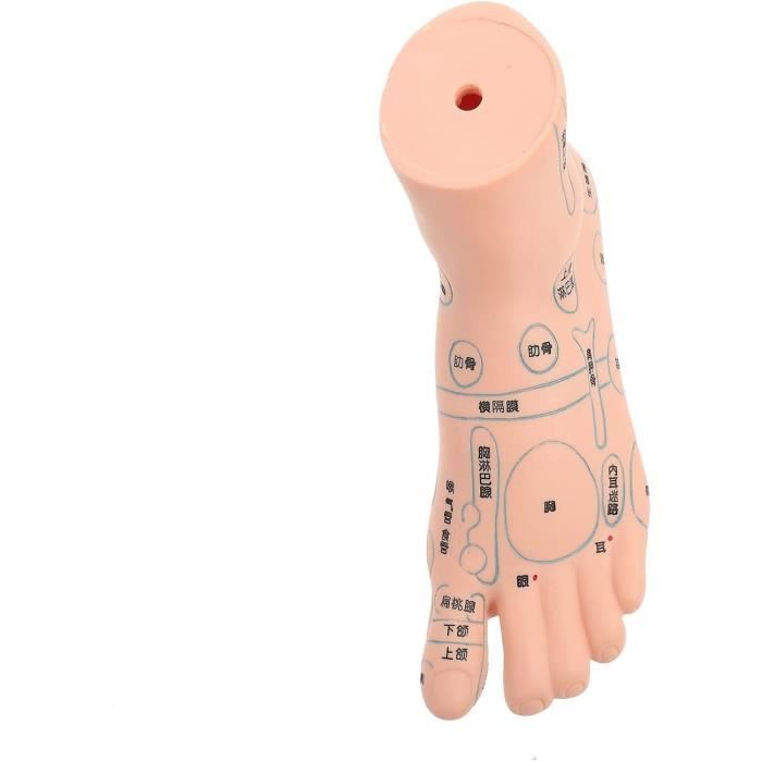 Modèle D’acupuncture Enfants – Poupée D’entraînement Pédiatrique, Pour Massage Et Points D’acupression