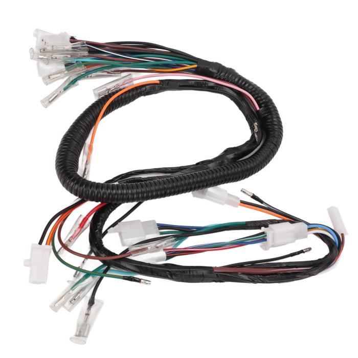 Faisceau de câblage de remplacement TORP SUR-RON Light BEE - ELEC SUPER BIKE