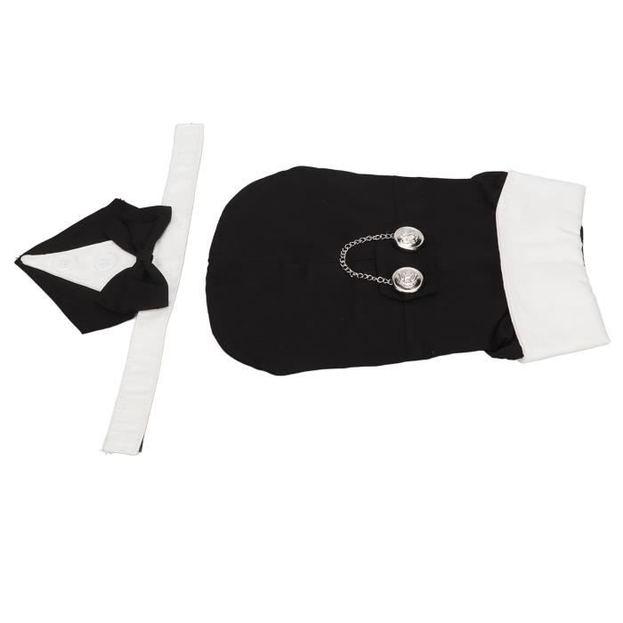 Costume Chien Chauve-souris Halloween - Déguisement Animal Festif Ajustable Pour Chiens Et Chats