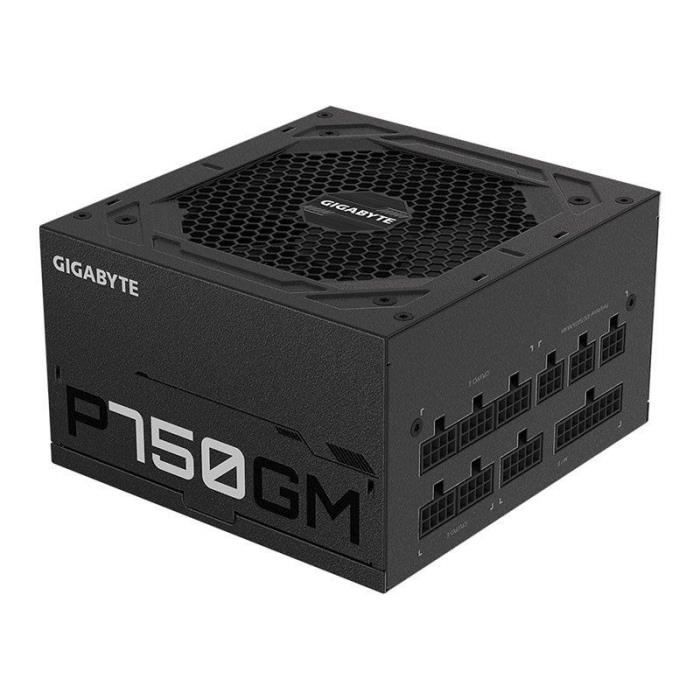 GIGABYTE P750GM unité d`alimentation d`énergie 750 W 20+4 pin ATX ATX Noir - GP-P750GM