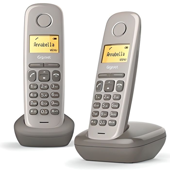 Téléphone DECT Gigaset A170 Duo – Écran Rétroéclairé, 50 Contacts - vue 2