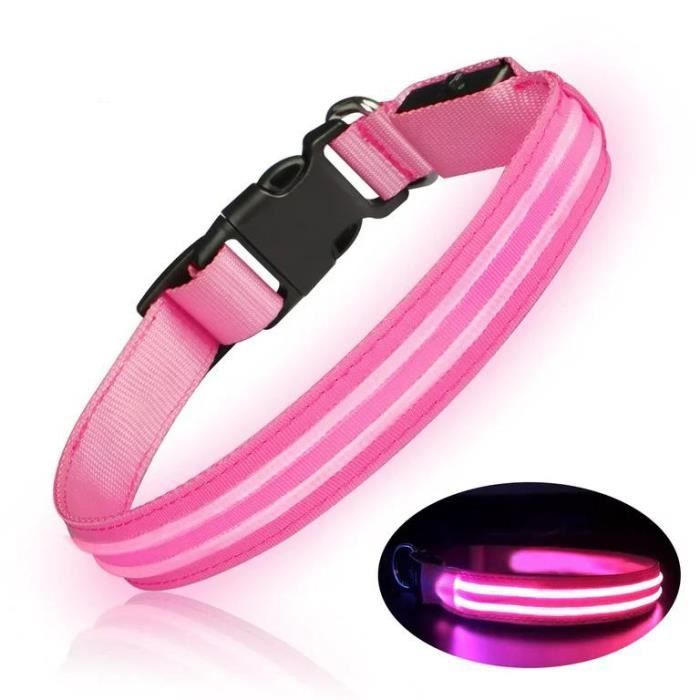 Collier LED Pour Chien Ou Chat - Sécurité Nuit, Clignotant - Lumineux Et Pratique