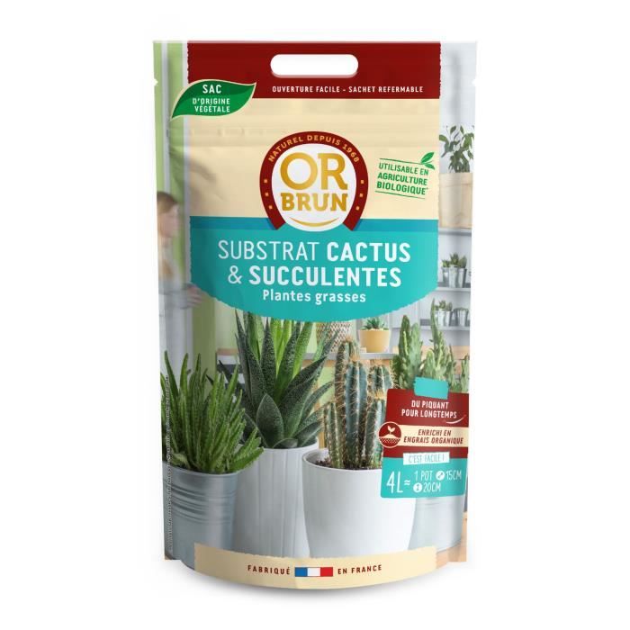 TERREAU SPECIAL CACTUS PLANTES GRASSES CACTEES 6L SOLABIOL avec