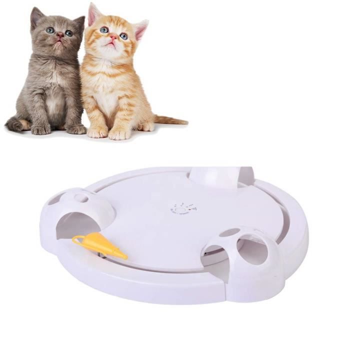 MOON-Pet jouer disques jouets pour chats animaux fournitures de jeux  interactifs disque plaque tournante des jouets à billes - Cdiscount